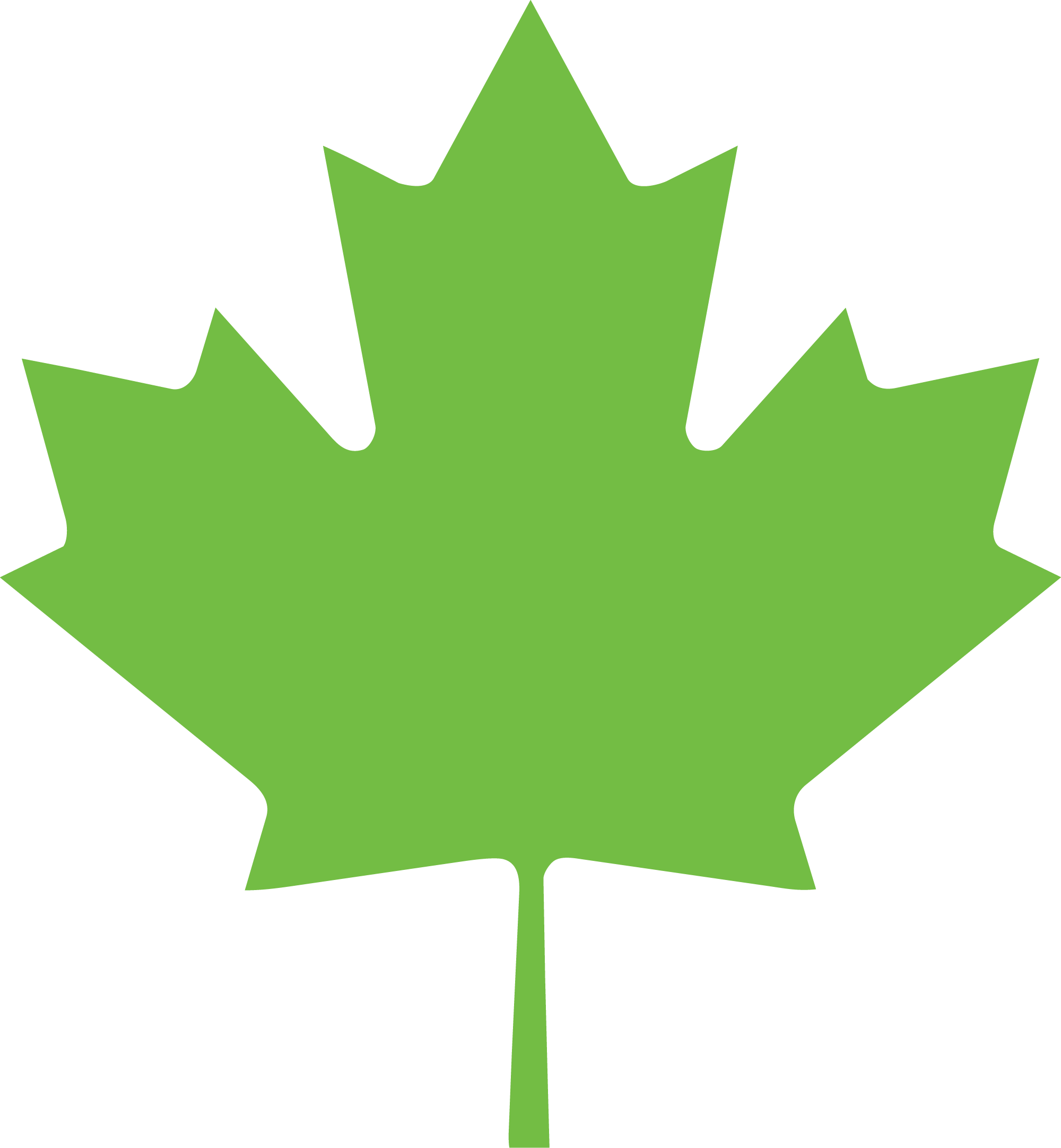 Maple Leaf Hautement concentrés